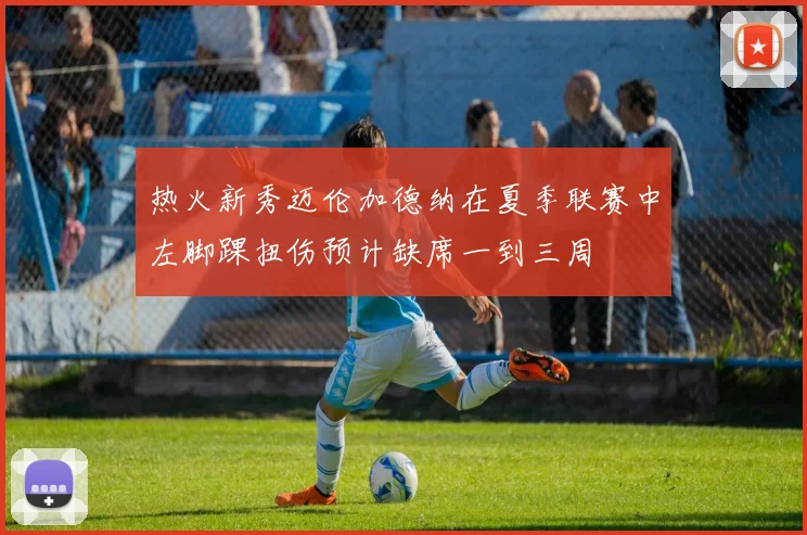 热火新秀迈伦加德纳在夏季联赛中左脚踝扭伤预计缺席一到三周
